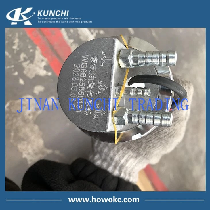 TRUCK PARTS Fuel Sensor WG9625550131 use for sinotruk howo